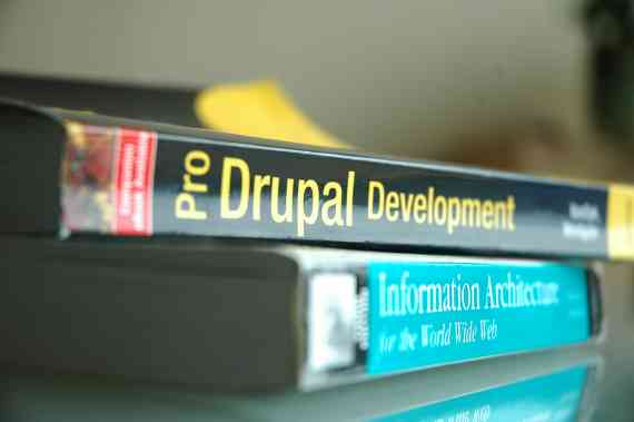 Pro Drupal Development + Information Architecture for the World Wide Web